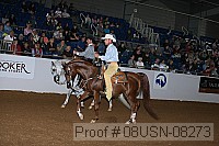 08usn-08273 proof