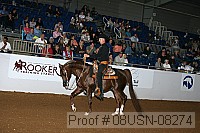 08usn-08274 proof