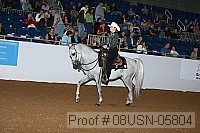 08usn-05804 proof