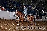08usn-02992 proof