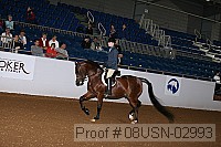 08usn-02993 proof