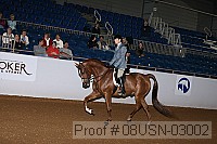 08usn-03002 proof