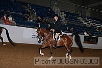 08usn-03003 proof