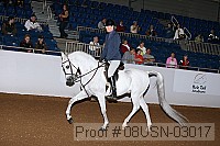 08usn-03017 proof