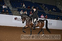 08usn-03018 proof