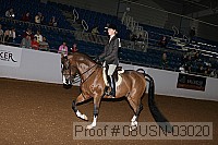 08usn-03020 proof