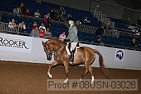 08usn-03028 proof