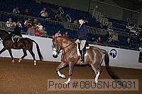 08usn-03031 proof