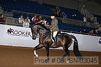 08usn-03045 proof