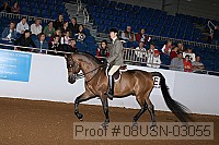 08usn-03055 proof