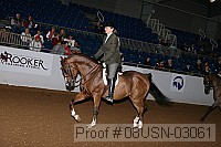 08usn-03061 proof