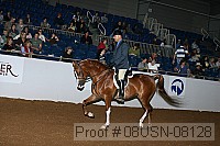 08usn-08128 proof