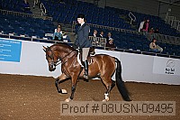 08usn-09495 proof