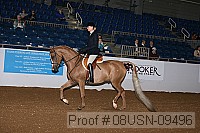 08usn-09496 proof