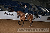08usn-09503 proof