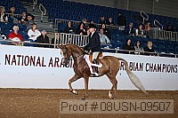 08usn-09507 proof