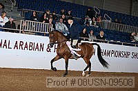 08usn-09508 proof