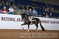08usn-09510 proof