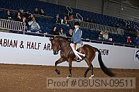08usn-09511 proof
