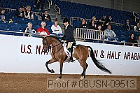 08usn-09513 proof