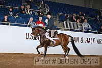08usn-09514 proof