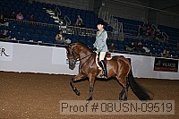 08usn-09519 proof