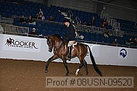 08usn-09520 proof