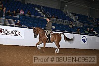 08usn-09522 proof