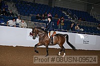 08usn-09524 proof