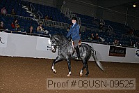 08usn-09525 proof