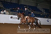 08usn-09528 proof