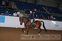 08usn-09529 proof