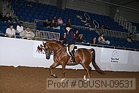 08usn-09531 proof