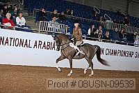 08usn-09539 proof