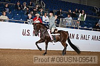 08usn-09541 proof