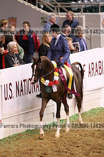 Proof 08usn-14826