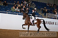 08usn-10258 proof