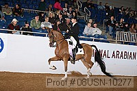 08usn-10277 proof