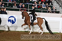 08usn-15268 proof