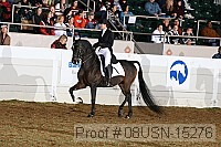 08usn-15276 proof