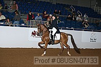 08usn-07133 proof
