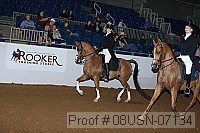 08usn-07134 proof