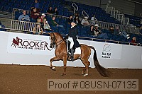 08usn-07135 proof