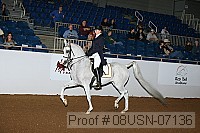 08usn-07136 proof