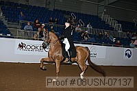 08usn-07137 proof