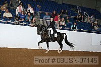 08usn-07145 proof