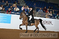 08usn-07146 proof