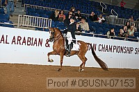 08usn-07153 proof