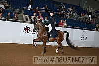 08usn-07160 proof