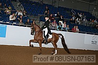 08usn-07163 proof